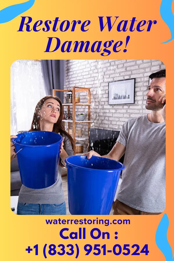 water restoration Vigilant Water Mitigation Pros Kingsford