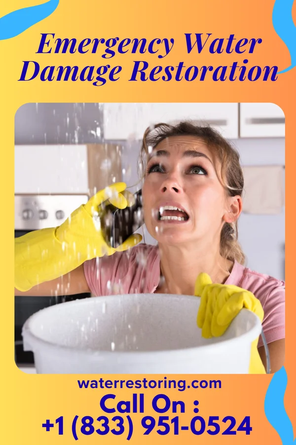Emergency Water Damage Restoration in Kingsford, MI