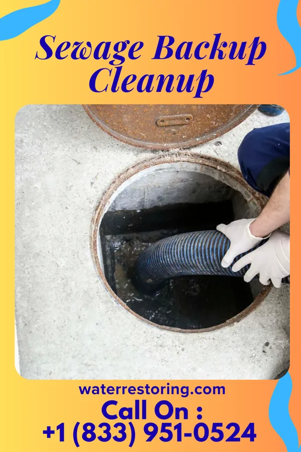 Sewage Backup Cleanup in Kingsford, MI