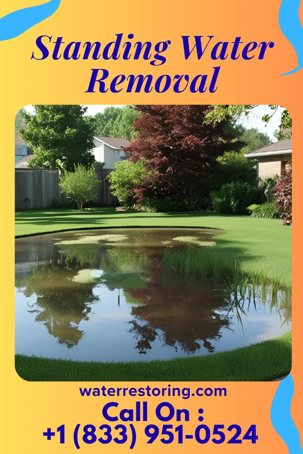 Standing Water Removal in Kingsford, MI
